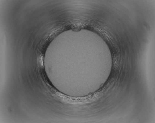 X0000112000042200908311123