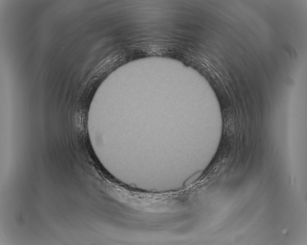 X0000112000044200908311123