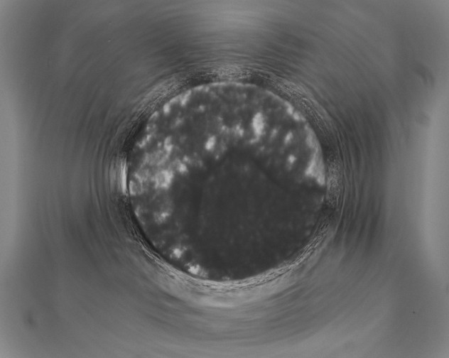 X0000112000046200908311123