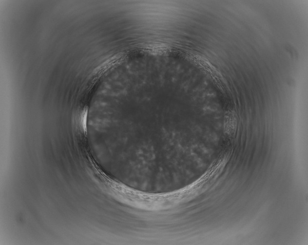 X0000112000047200908311123