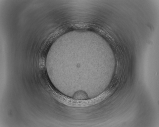 X0000112000048200908311123