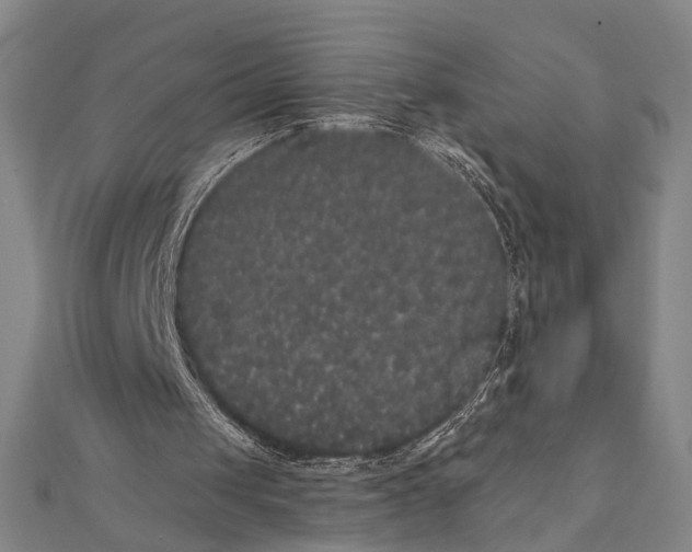 X0000112000049200908311122