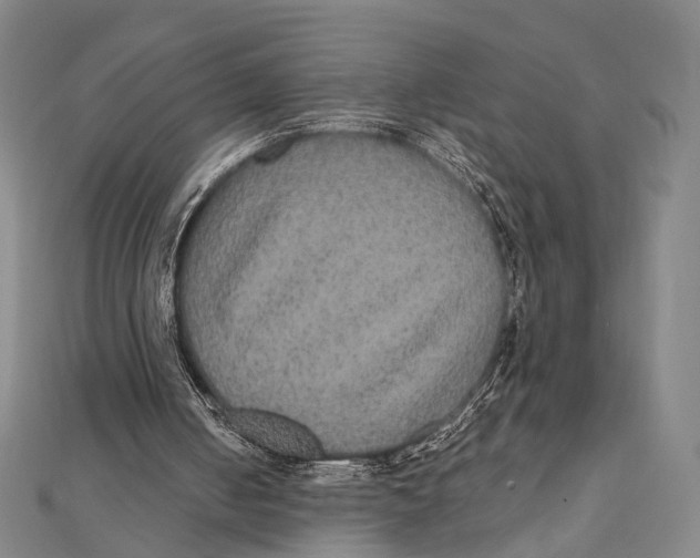 X0000112000050200908311122