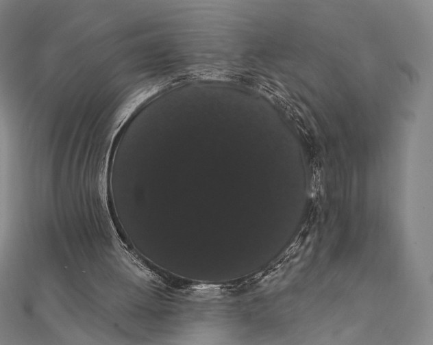 X0000112000052200908311122