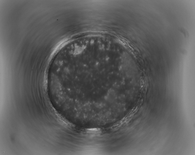 X0000112000053200908311122