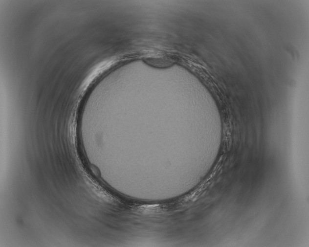 X0000112000054200908311122