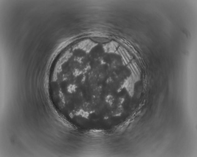 X0000112000055200908311122