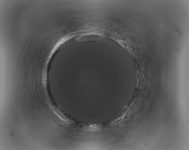 X0000112000056200908311122