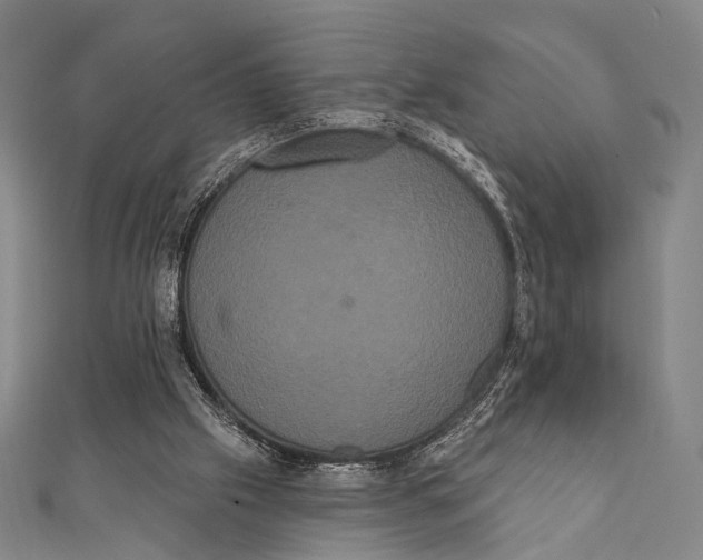 X0000112000057200908311122