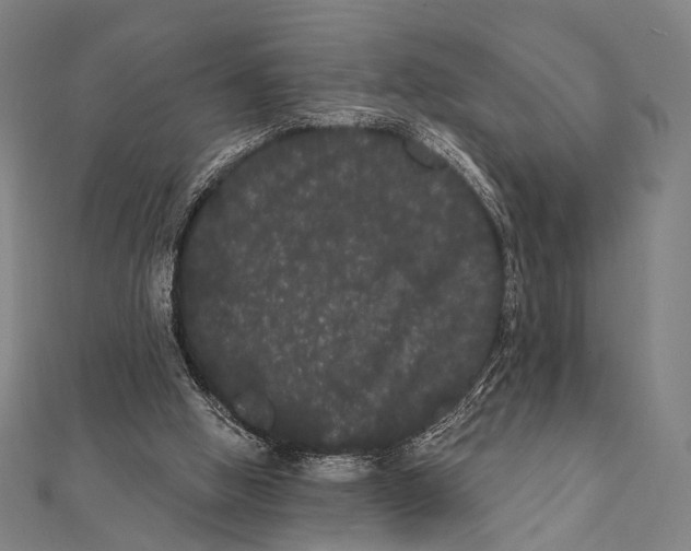 X0000112000058200908311122