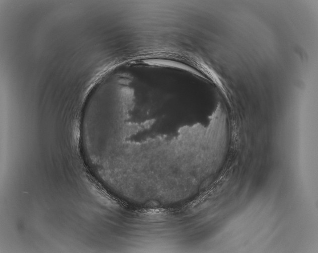 X0000112000059200908311122