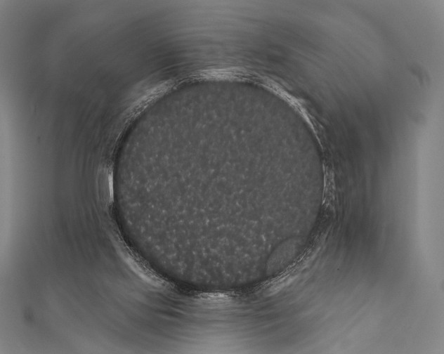 X0000112000061200908311122