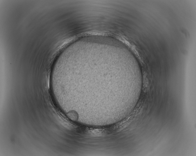 X0000112000062200908311122