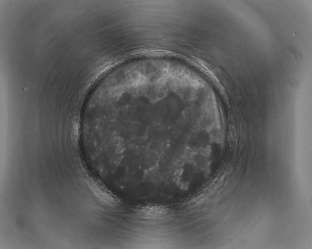 X0000112000063200908311122