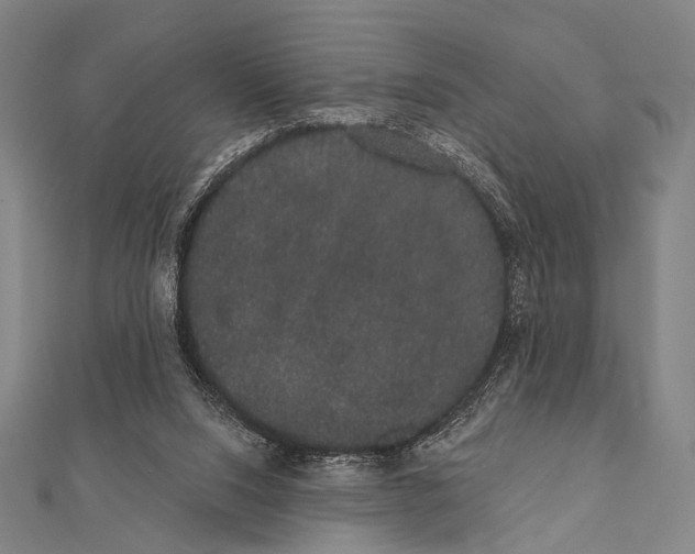 X0000112000064200908311122