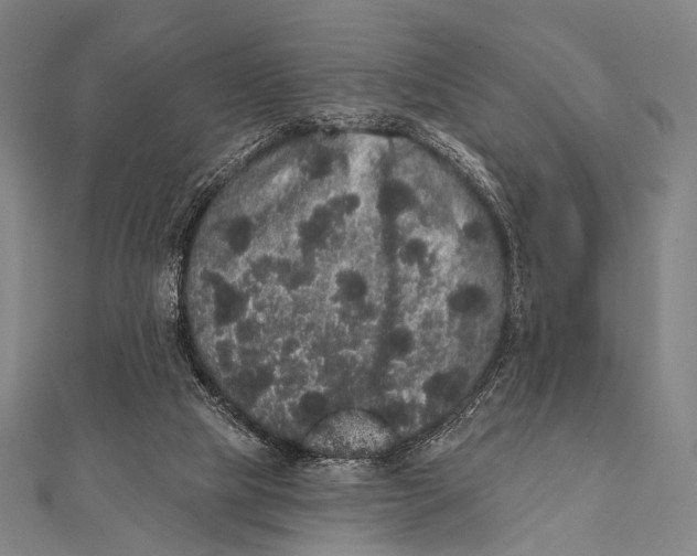 X0000112000065200908311123