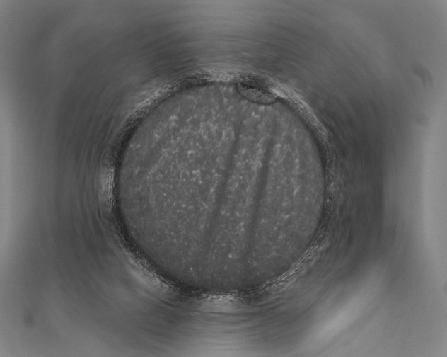 X0000112000066200908311123