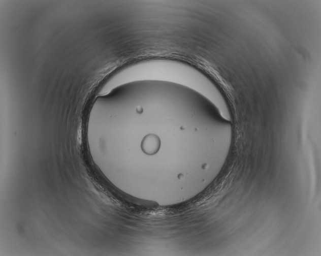 X0000112000068200908311123