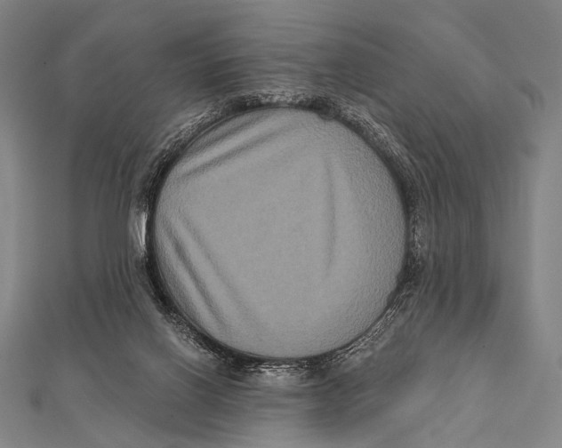 X0000112000070200908311123