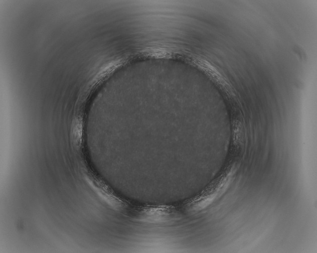 X0000112000072200908311123