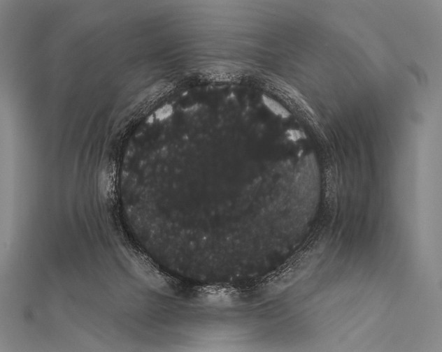 X0000112000073200908311123