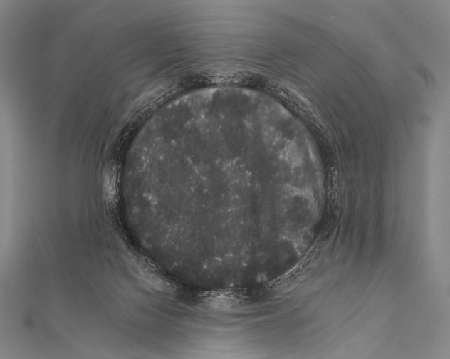 X0000112000074200908311123