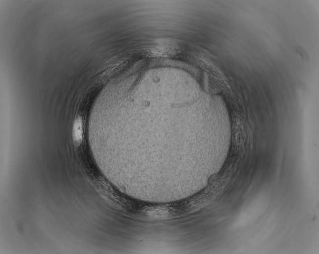 X0000112000075200908311123