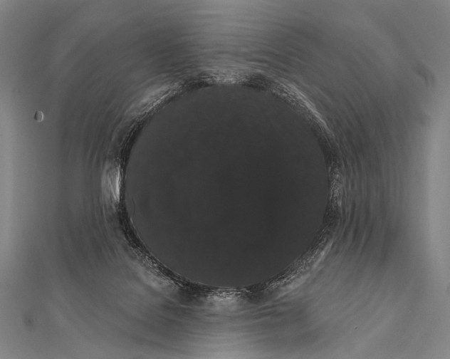 X0000112000076200908311123