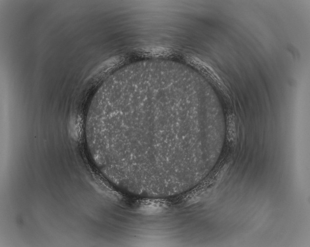 X0000112000077200908311123