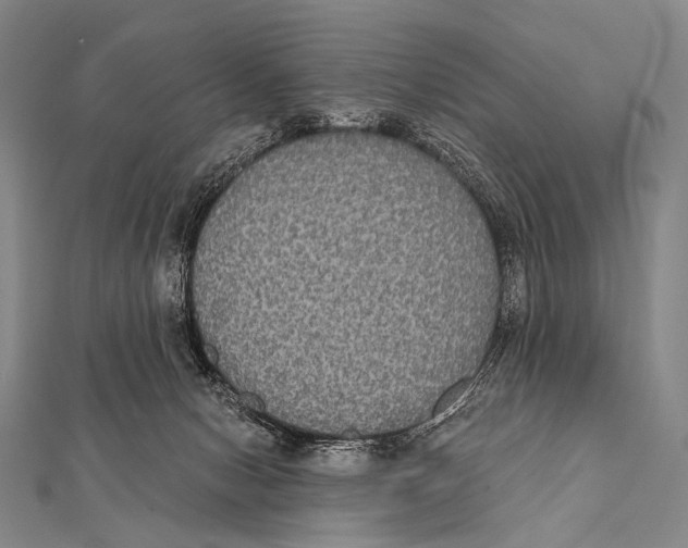 X0000112000078200908311123