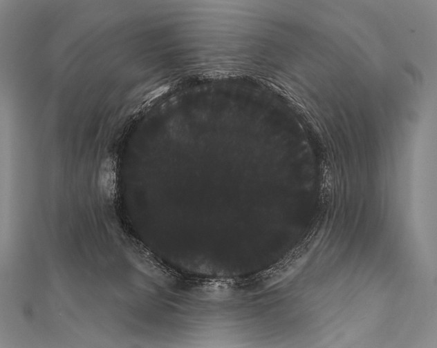 X0000112000080200908311123