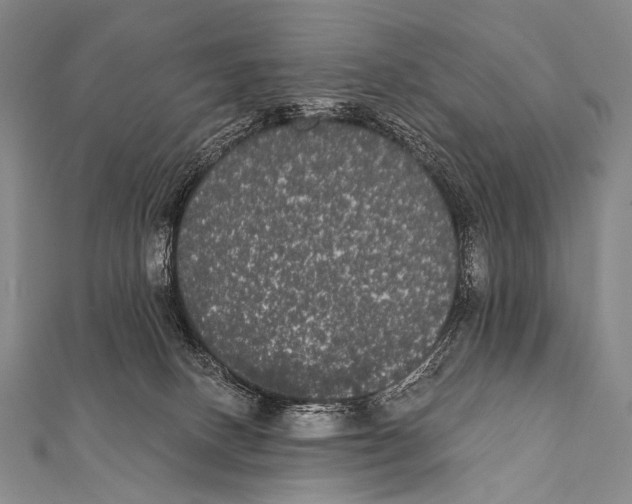 X0000112000082200908311123