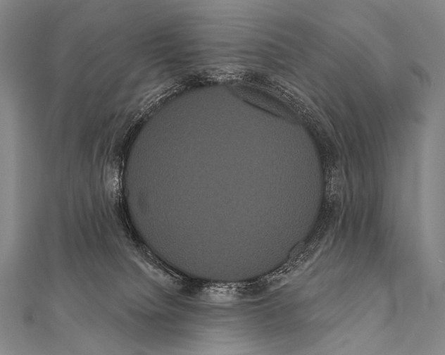 X0000112000084200908311123