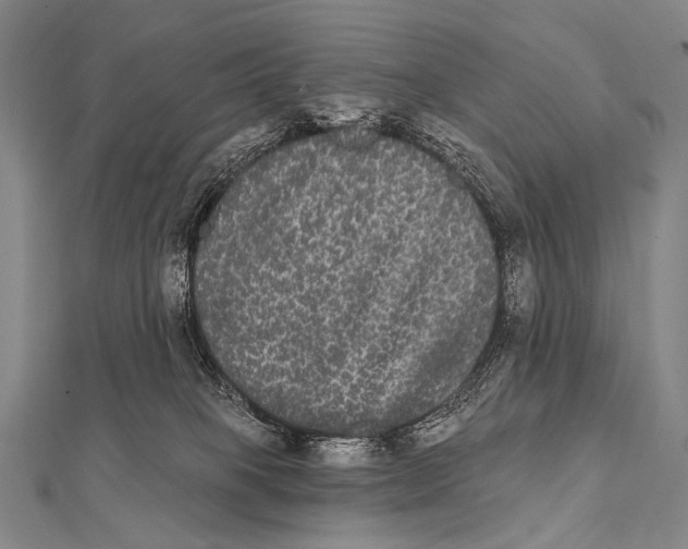 X0000112000085200908311123