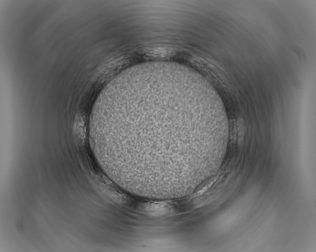 X0000112000086200908311123