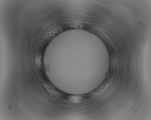 X0000112000088200908311123