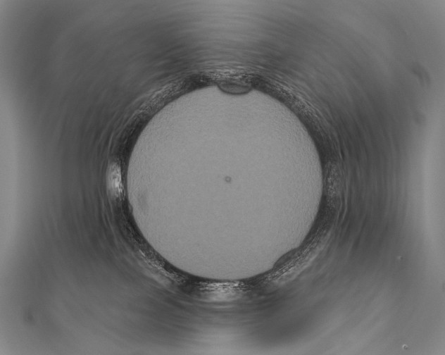 X0000112000089200908311123