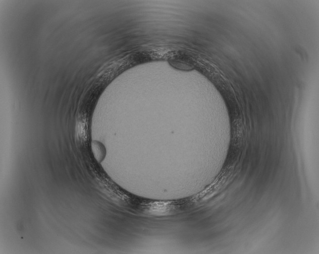 X0000112000090200908311123