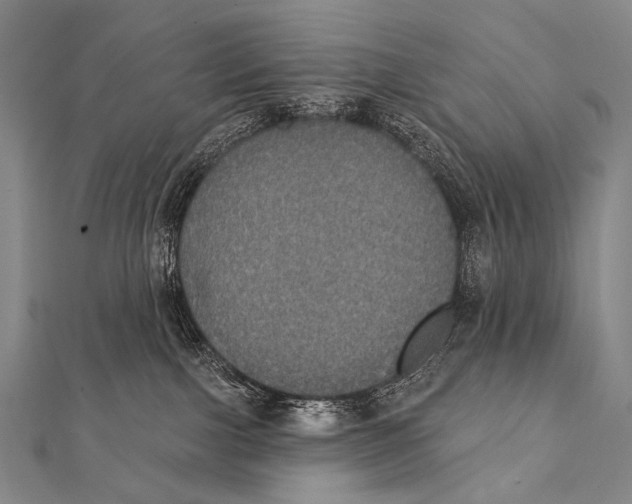 X0000112000091200908311123