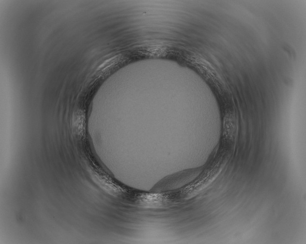 X0000112000092200908311123