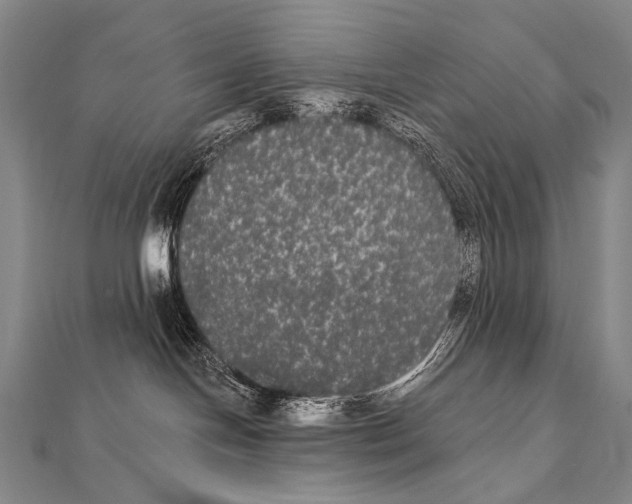 X0000112000094200908311123