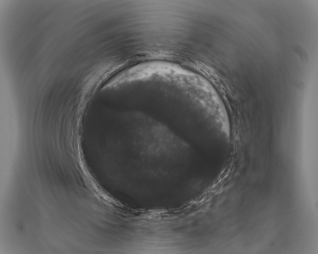 X0000112000097200908311122