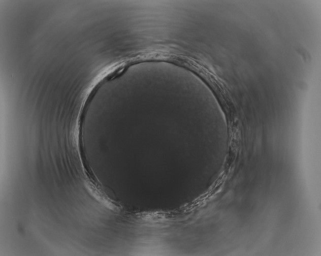 X0000112000100200908311122