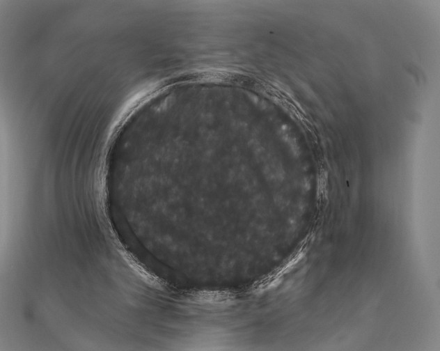 X0000112000101200908311122