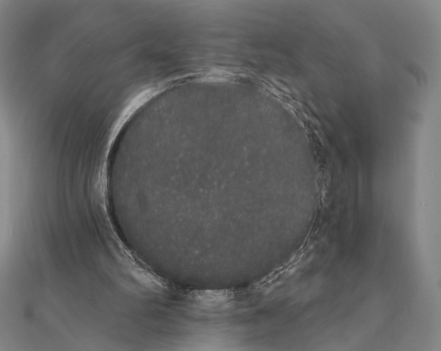 X0000112000102200908311122