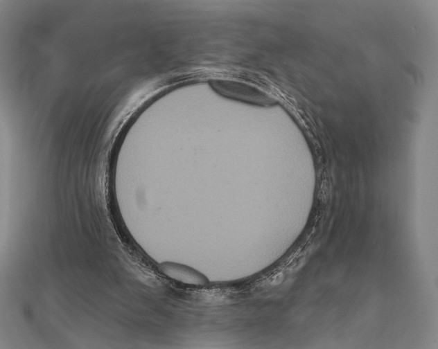 X0000112000103200908311122