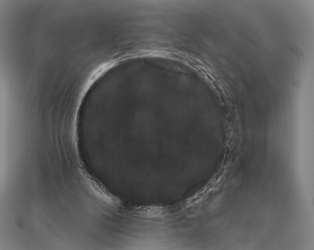 X0000112000104200908311122