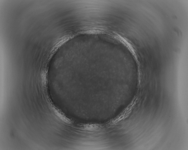 X0000112000105200908311122