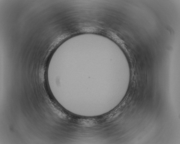 X0000112000106200908311122