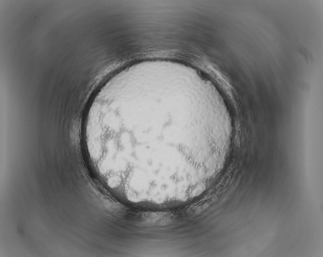 X0000112000107200908311122